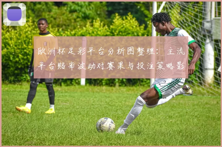 欧洲杯足彩平台分析图整理：主流平台赔率波动对赛果与投注策略影响