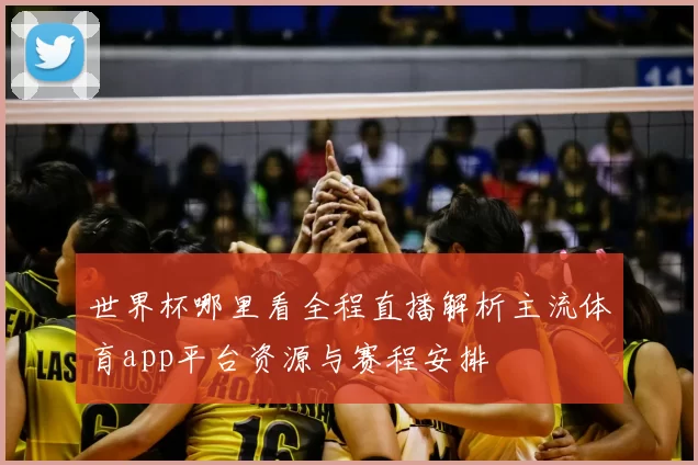 世界杯哪里看全程直播解析主流体育app平台资源与赛程安排