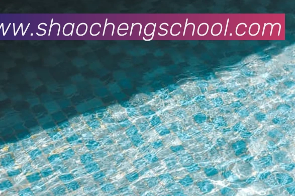 App Interface Preview