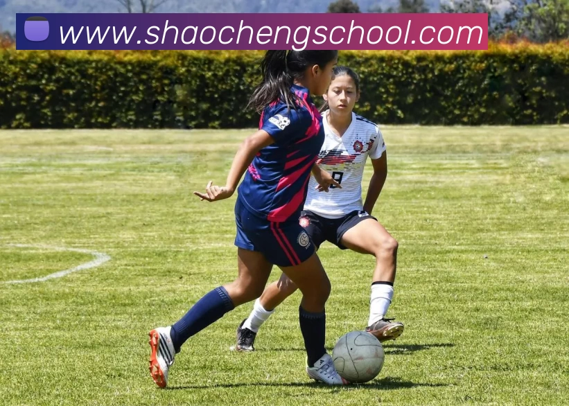 星空体育官网首页APP 封面图